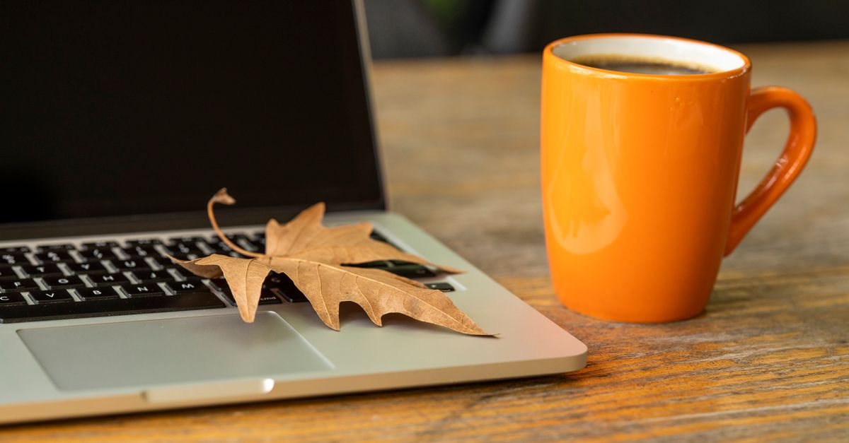 SEO vs PPC: Which Strategy Is Right for Your Business?